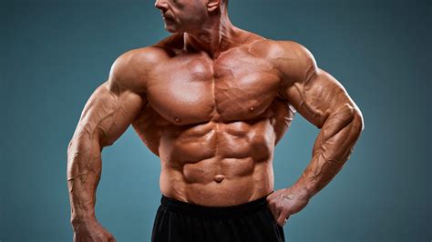 Chest .